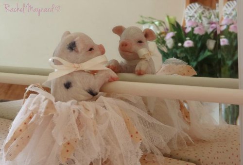 Зверятки-реборнятки — Молды и прототипы Реборн (Reborn): новинки (фото 3)