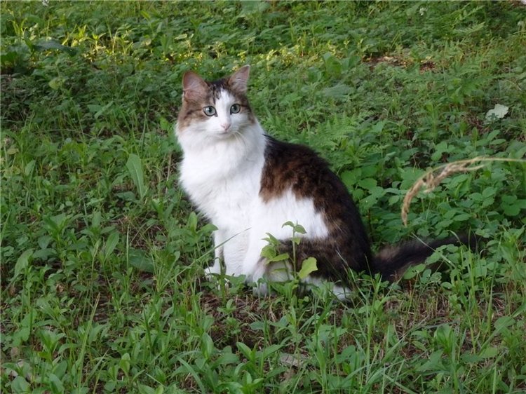 Башкирия , Охлебинино . Место , где отдыхает душа