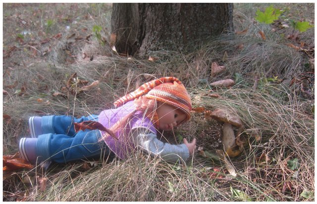 "Неприятный случай" или Ёжик, осень, грибочки. Wichtel, Rosemarie Anna Muller