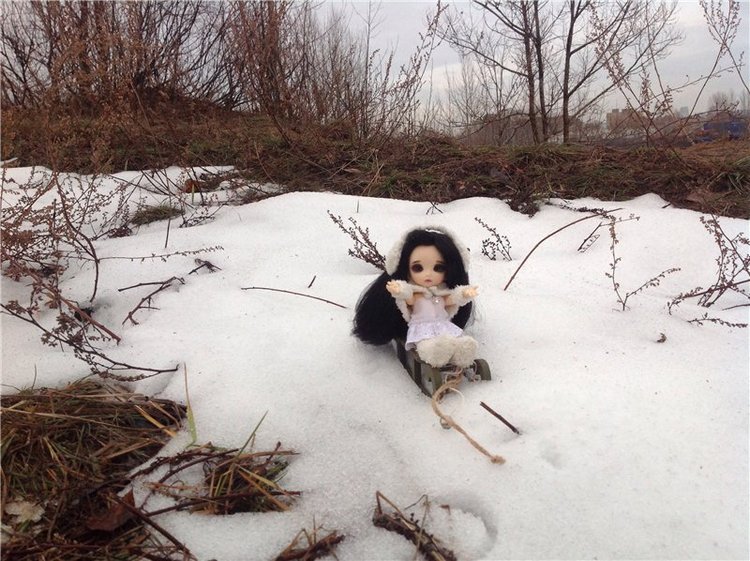 Зимние эльфийские развлечения, Pukifee Mio