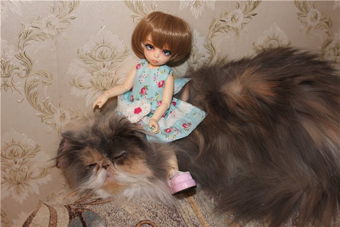 Поздравление с Новым Годом от Маняши. Кукла БЖД Литлфи Анте