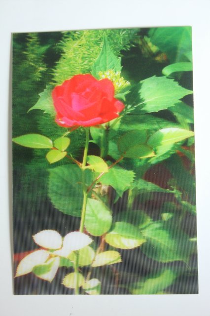 Моя коллекция объёмных открыток:) | Бэйбики Моя коллекция объёмных открыток:)