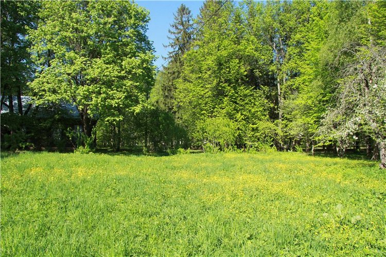 Субботний вояж. Третья часть | Бэйбики Субботний вояж. Третья часть