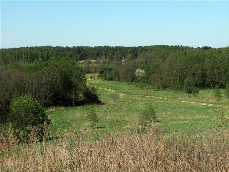 Субботний вояж. Часть первая