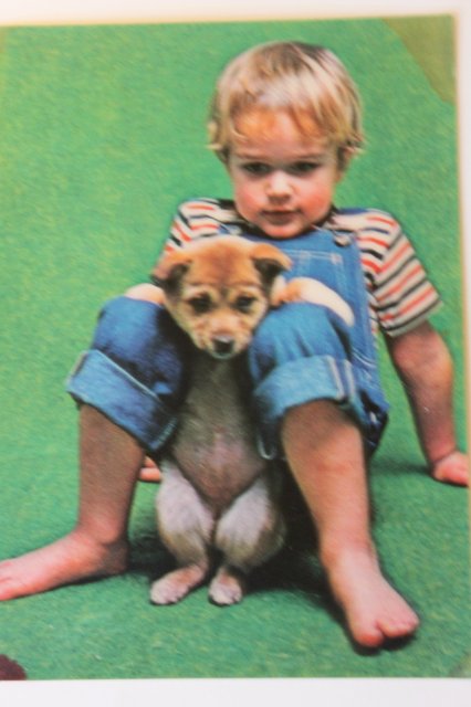 Моя коллекция объёмных открыток:) | Бэйбики Моя коллекция объёмных открыток:)