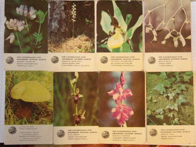 Моя коллекция календариков:) | Бэйбики Моя коллекция календариков:)