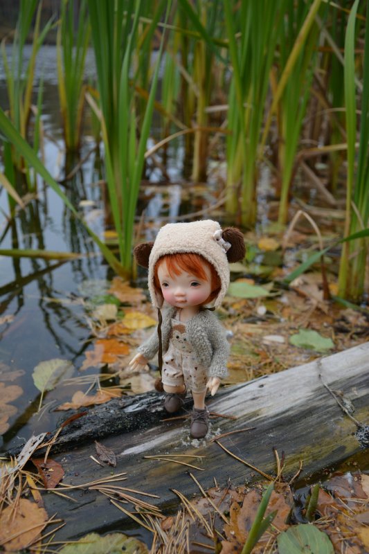 Осенняя прогулка! Irrealdoll (фото 7)
