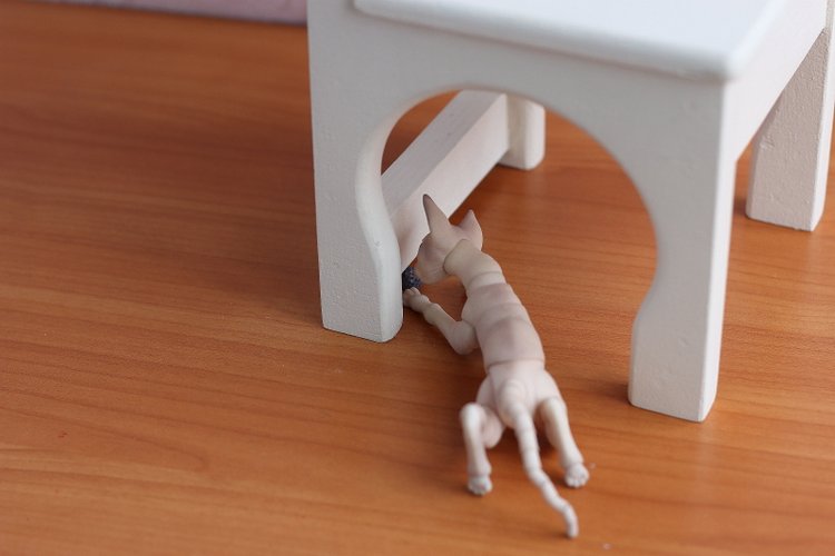 Кот играет с мячиком — Разные куклы BJD (БЖД): редкие бренды