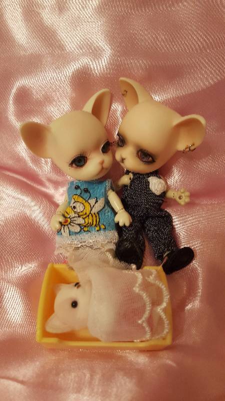 Куда пропали Панги — Куклы Ai Doll и Pangju (Панджу): Tiny BJD (БЖД) (фото 4)