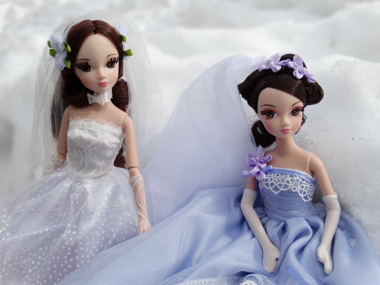 Две невесты — Фэшн