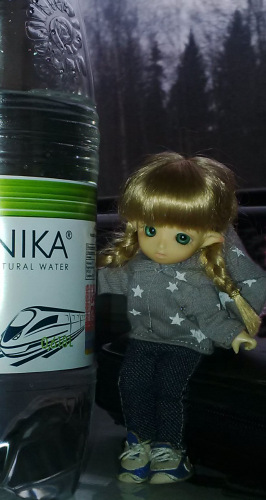 Юлька в Питере — Куклы Brownie (Брауни) Felix Doll: Tiny BJD (БЖД)