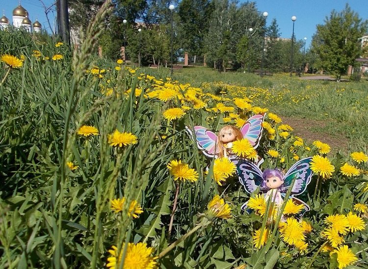 Попробуем рассказать сказку