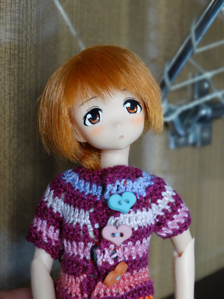 Путешествие с Азоночками Azone doll (фото 8)