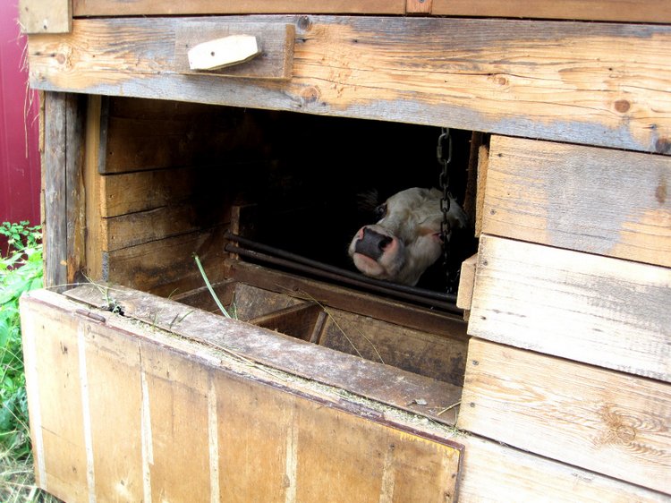 Бабушка из сказки — Коллекционные игрушки и фигурки: Lego (фото 8)