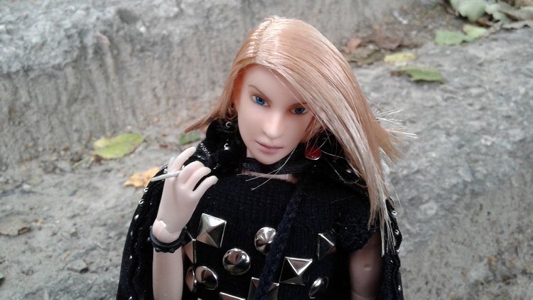 Зимнее солнце. Глава 1. Сказочный поезд