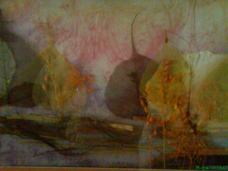 "И носило меня, как осенний листок... "