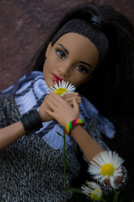 Мои Барбеечки Made to Move и гибриды