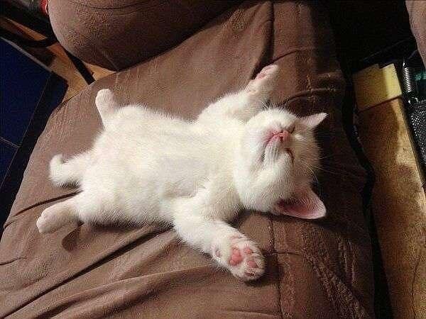 Сделаем пуговки? Легко, очень быстро, практически без затрат – крохотные пуговки (не лепка) МК