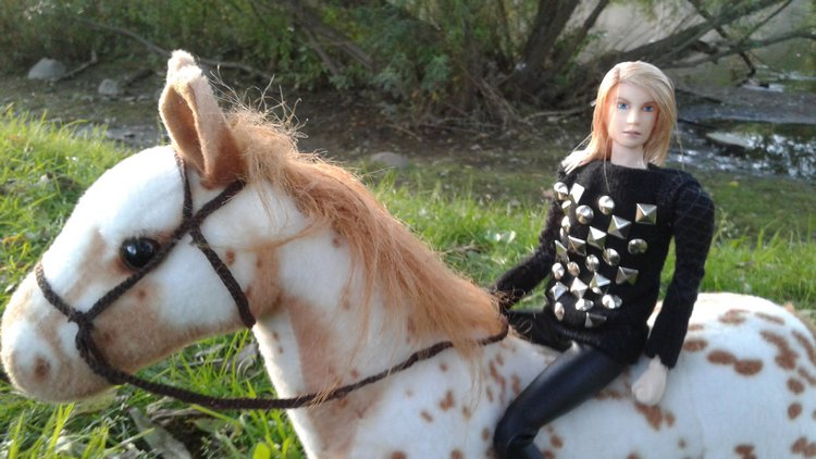 Зимнее солнце. Глава 6. Дом там, где сердце