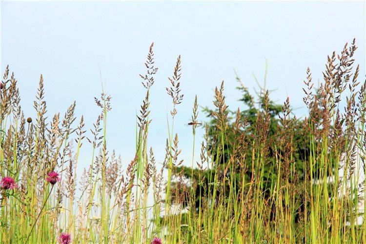 Тверской Водопад — Туризм и путешествия: фотоотчеты из поездок