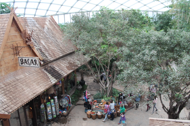 По Германии: зоопарк Лейпцига, часть 2