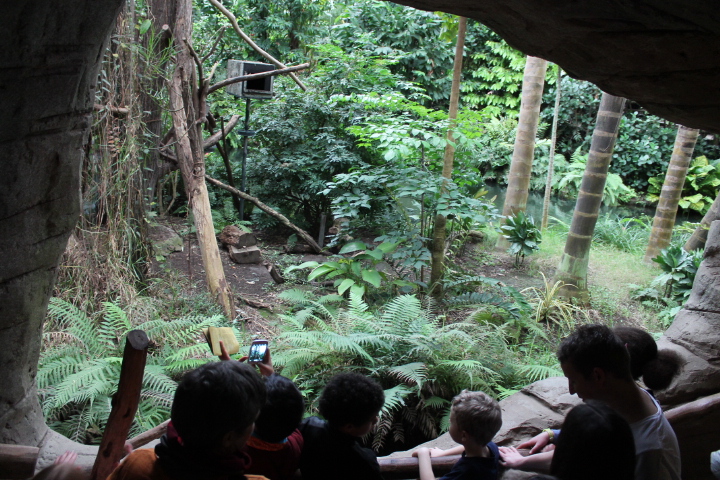 По Германии: зоопарк Лейпцига, часть 2