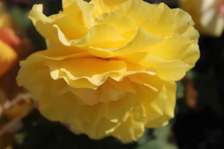 По Германии: весна в Лейпциге