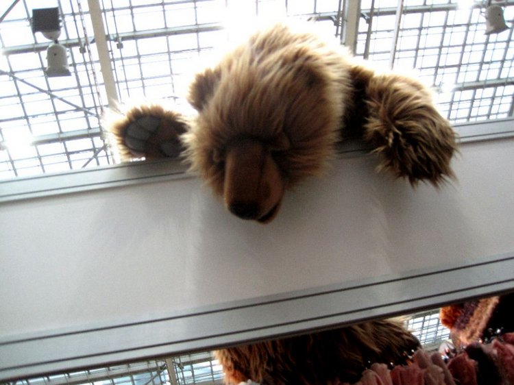 Гостинный двор. Наши впечатления от выставки