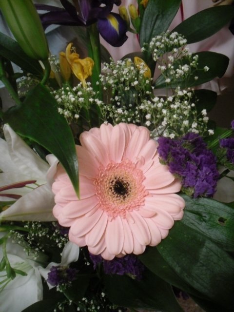 Девчонки и мальчишки, любимые мои