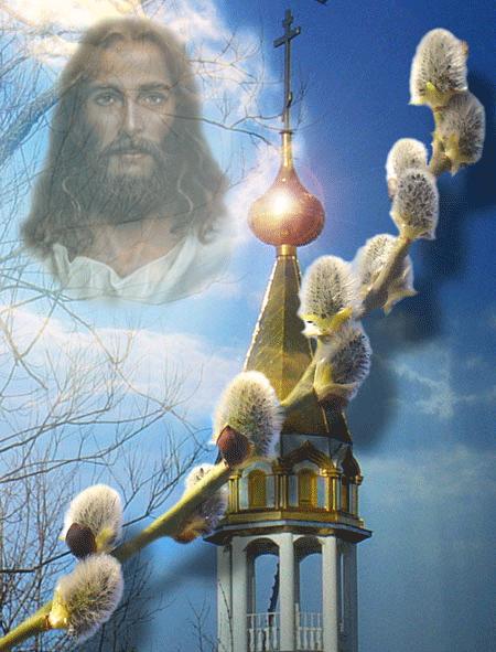 С Вербным воскресеньем! С праздником большим! Радости, веселья! Мира для души (фото 2)