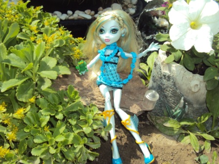 Monster High: Как две красавицы гулять в сад ходили (фото 4)
