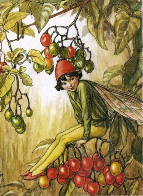 Долгая жизнь цветочных фей от иллюстраций Cicely Mary Barker до кукол Birgitte Frigast