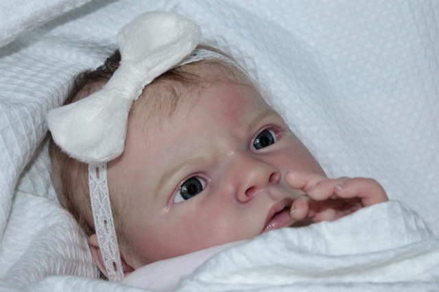 Кто сказал что Я последняя? Кукла реборн Беспаловои Жанны