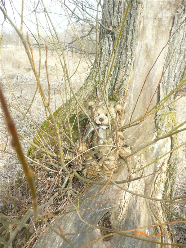 Предпраздничное настроение