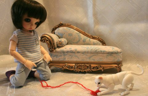 БЖД питомец - кот Као-Мани (фото 4)