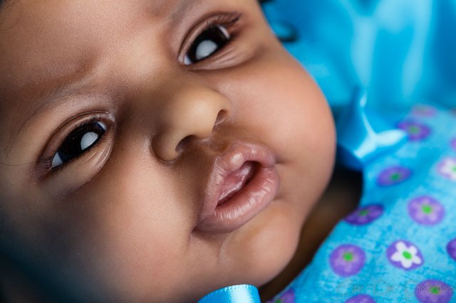 Молдик Эсме Laura Lee Eagles Прототип номер 3