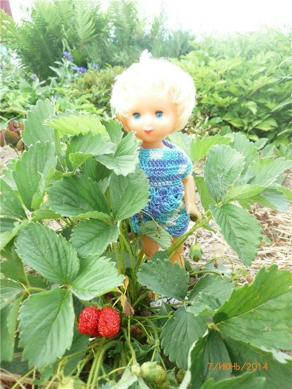 Бабушкина помощница. Винтажная шарнирная куколка Светочка (фото 4)