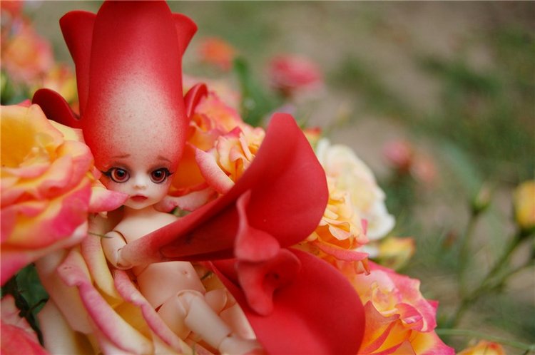 Прогулка по саду Doll zone