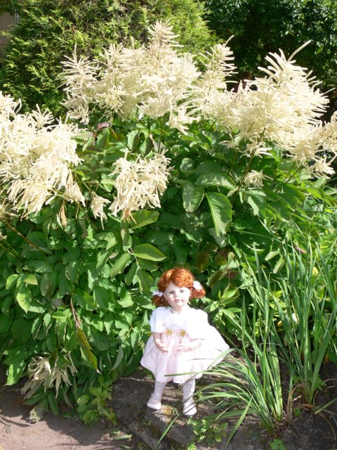 Продолжение прогулка в Ботаническом саду Санкт Петербурга. Часть 2. Иридарий | Бэйбики Продолжение прогулка в Ботаническом саду Санкт Петербурга. Часть 2. Иридарий (фото 2)