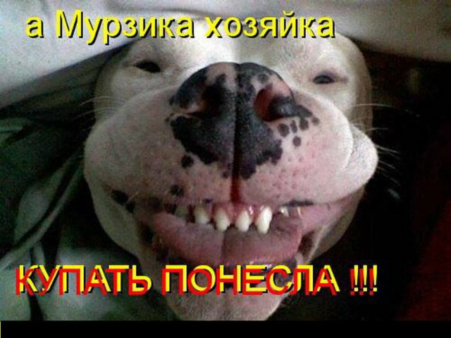 Понедельник - день тяжёлый | Бэйбики Понедельник - день тяжёлый