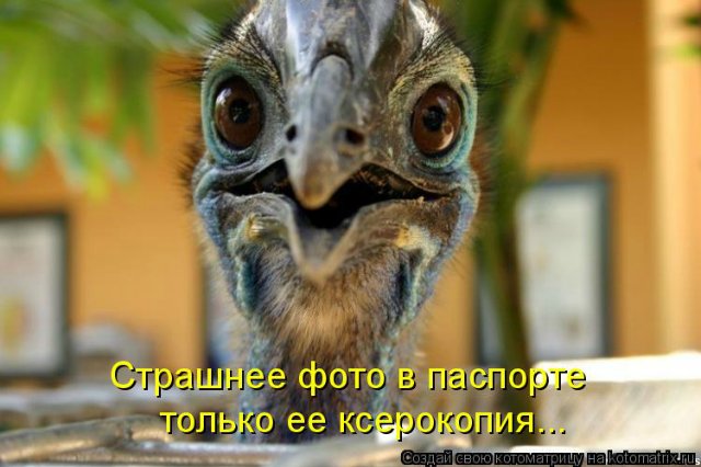 Море позитива) Для поднятия настроения (осторожно! много фото)))) | Бэйбики Море позитива) Для поднятия настроения (осторожно! много фото))))