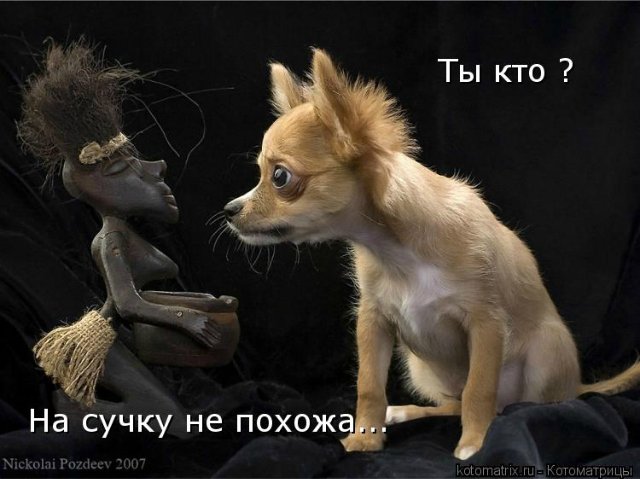 Понедельник - день тяжёлый | Бэйбики Понедельник - день тяжёлый