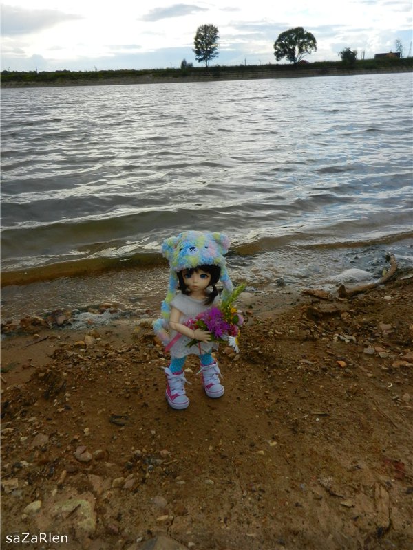 Варвара путешевственница (Литтлфи Анте)