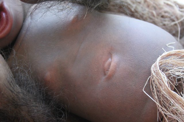 Обезьяныши реборн Элины Кудрявцевой (фото 10)