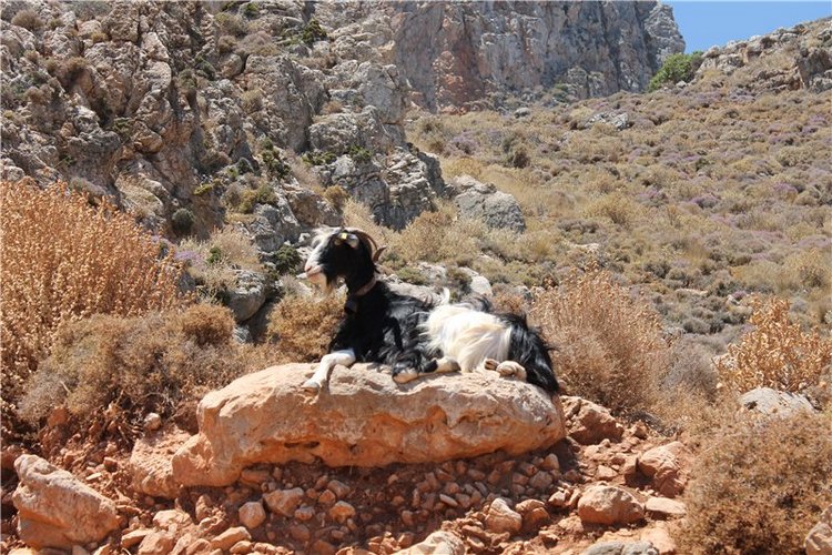 Путешествие в Грецию на о.Крит (Часть 1) | Бэйбики Путешествие в Грецию на о.Крит (Часть 1)