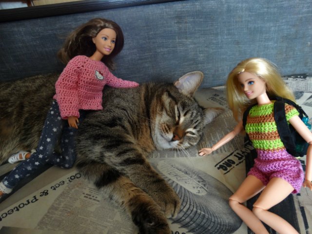 Дети, котики и куклы - наши главные радости (фото 3)