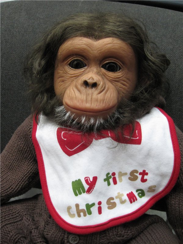 Спасибо за дружбу! Спасибо за праздник