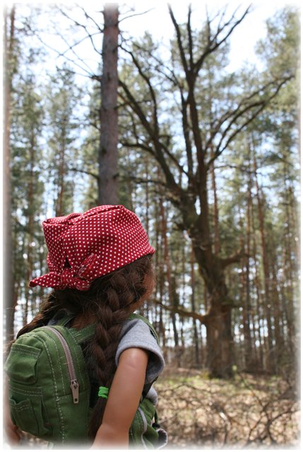 Небольшой поход Вихтелят на Ирдынские болота