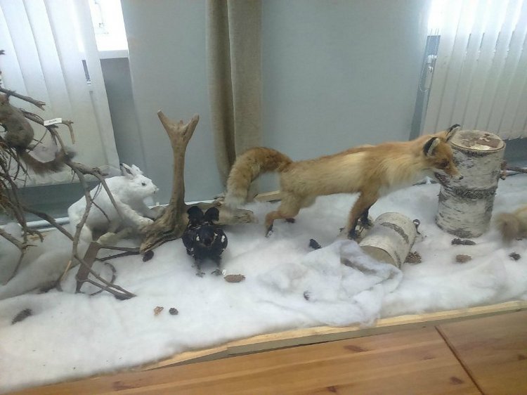 Воткинск — родина гения музыки Петра Ильича Чайковского. Часть 3 (фото 6)