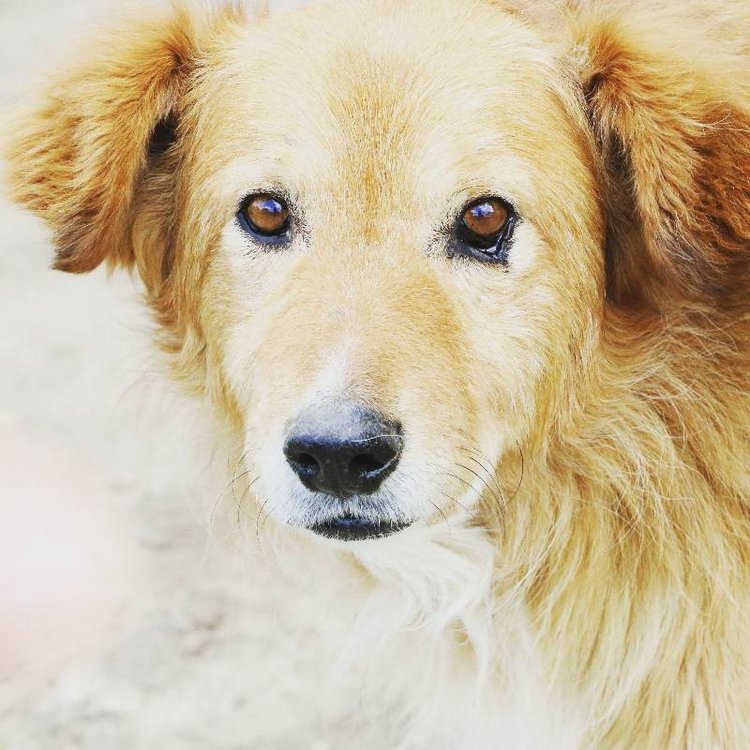 Те, кто нас любит и в домашнем халате, и без косметики, и растрепанными | Бэйбики Те, кто нас любит и в домашнем халате, и без косметики, и растрепанными (фото 6)